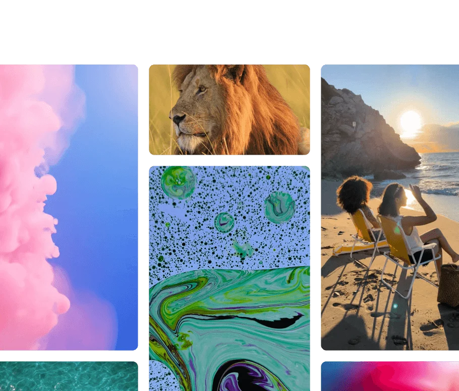 A grid showing a range of nature, abstract, and lifestyle video clip thumbnails.